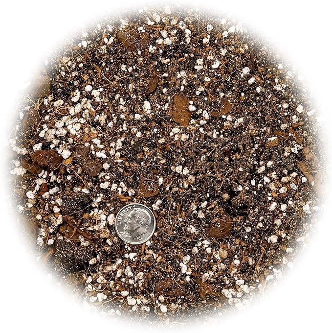 Premium Spider Plant Potting Soil Mix - (1 Quart Bag)