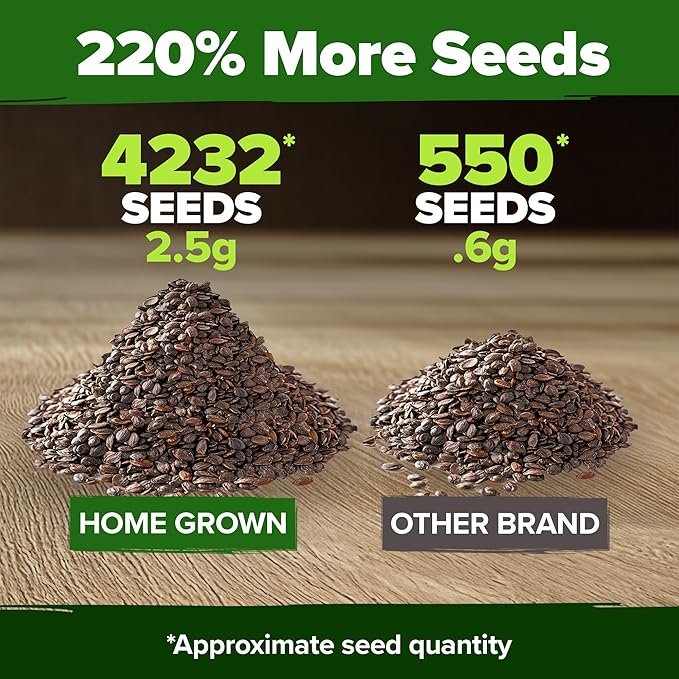 HOME GROWN Catnip Seeds (2 Pack) π‘π’π‘-ππ π’, π¨π¦π-π¦π’π¨π₯πππ Heirloom Herb 4232 Seeds - Indoor or Outdoor Seed - High-Germination Cat Nip - Cat Safe Plants (Nepeta cataria)