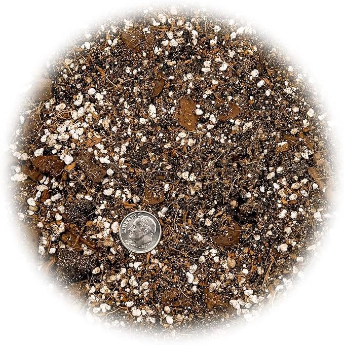 Premium Spider Plant Potting Soil Mix (4 Bags of 5 Quart)