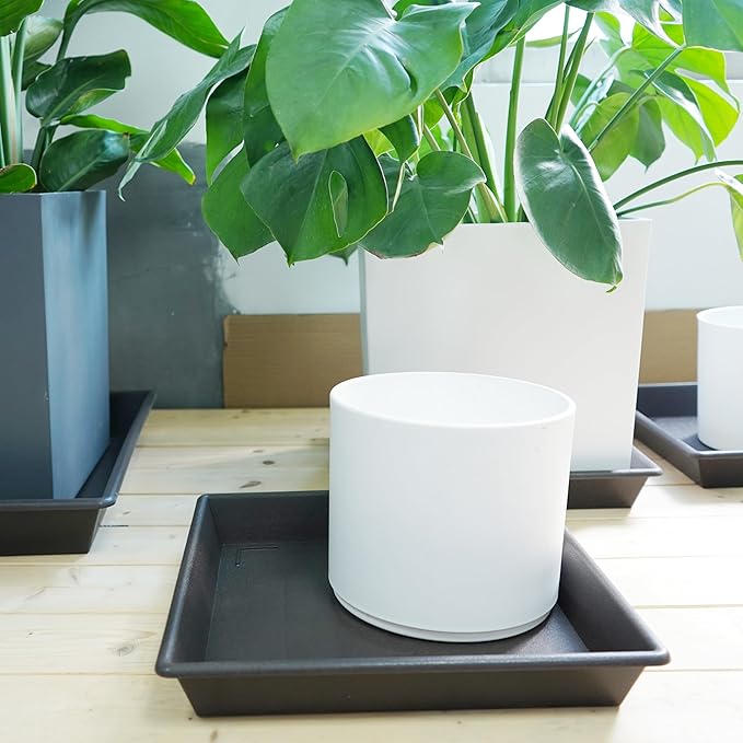 Square Plant Saucer 10 Inch 5 Pack, Plant Stand Flower Pot No Holes, Plant Trays for Pots Heavy Duty Plastic Plant Saucers for Indoors Outdoors Plant Lover Gardening Gifts