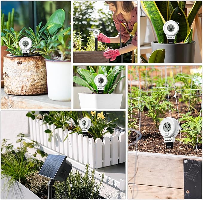 RAINPOINT Digital Compact Soil Moisture Meter for Indoor/Outdoor Plants, Soil Probe Hygrometer Sensor Tester Sets for Garden Lawn Farm, Easy Operation House Pot Plants Moisture Detector- 3 pcs