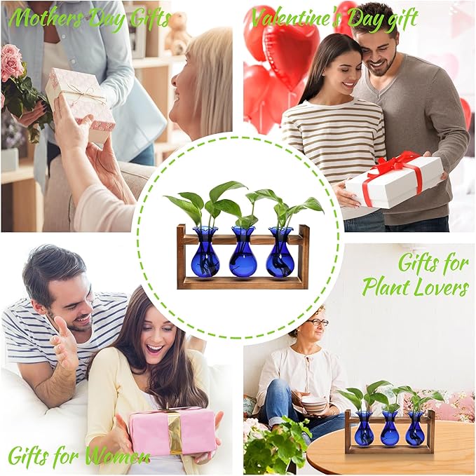 Plant Propagation Station Plant Terrarium Unique Birthday Gifts for Women Plant Lovers Home Office Decor Planter with Wooden Stand - 3 Bulb Glass Vase