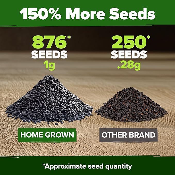 HOME GROWN Thai Basil Seeds Pack - 876 High Germination π‘π’π‘-ππ π’ π¨π¦π Heirloom Herb Seeds for Planting,Ideal for Growing Fresh Basil Planting Indoor or Outdoor(Ocimum basilicum var.thyrsiflora)