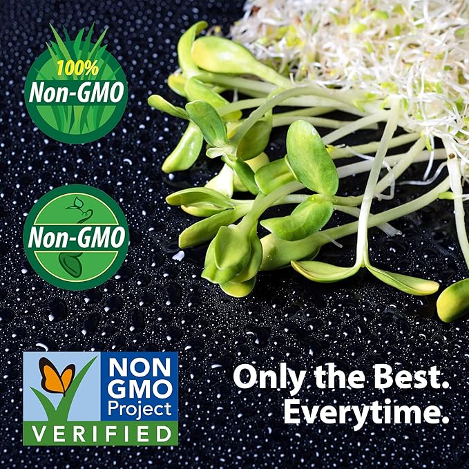 Buckwheat Seeds - 5 Lb ~60,000 Seeds - Organic, Non-GMO, Whole (Shell On) - Grow Buck Wheat Cover Crops, Microgreens, Lettuce