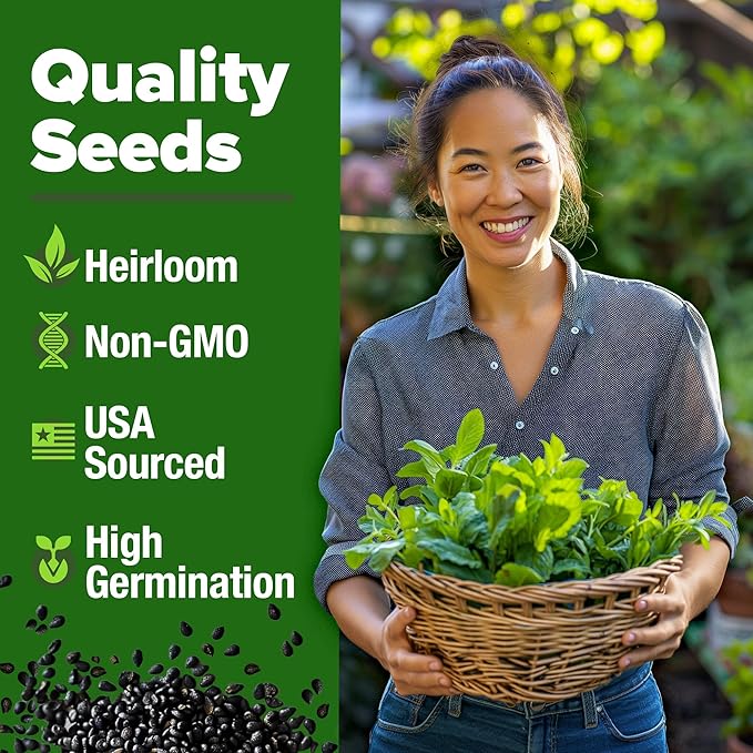HOME GROWN Premium Common Mint Seeds (Bulk Pack) 3,600 π‘π’π‘-ππ π’ π¨π¦π Heirloom Herb Seeds, USA Sourced | Ideal for Planting Outdoors or Indoors for a Fresh Mint Tea Garden (Mentha spp)