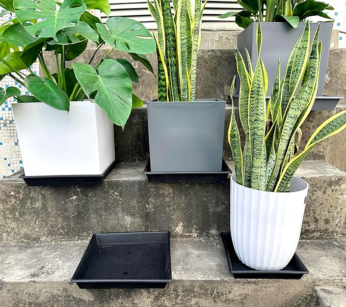Square Plant Saucer 12 Inch 2 Pack 6 8 10 12 14 16 18 20 Inch, Plant Trays for Pots Heavy Duty Plastic Plant Saucers for Indoors Outdoors, Flower Pot No Holes Plant Drip Trays