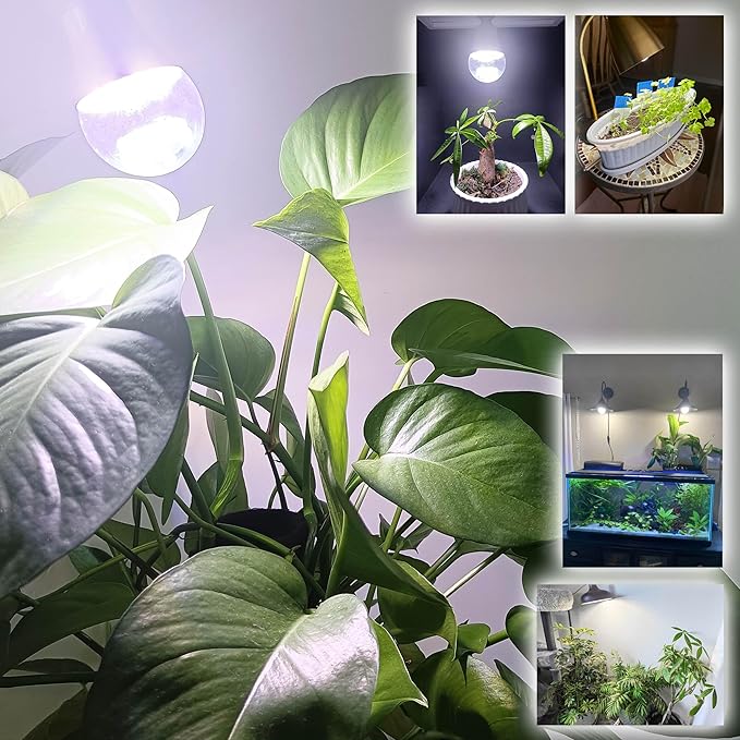 Grow Light Bulbs for Indoor Plants Full Spectrum E26 A19 10W,Grow LED Light Bulb with Balanced Spectrum 5000K Blue Red for Seeds Greens Laboratory,School,Greenhouse, Indore Garden, Hydroponic,1Pcs