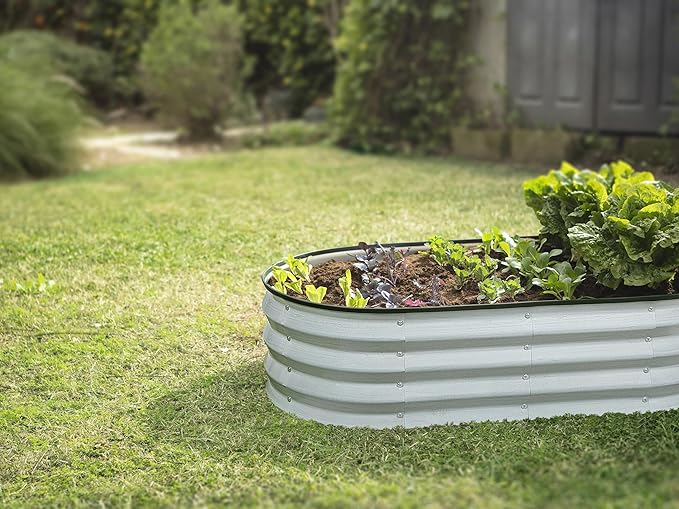 Galvanized Raised Garden Beds Outdoor // 4×2×1 ft Planter Raised Beds for Gardening, Vegetables, Flowers // Large Metal Garden Box (White Wood Grain)