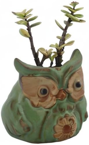 Ogrmar 6Pack Owl Plant Window Boxes Cute Owl Flower Pot/Modern Ceramic Succulent Planter Pots/Tiny Flower Plant Containers Animal Decor
