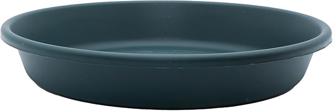 The HC Companies 21 Inch Round Plastic Classic Plant Saucer - Indoor Outdoor Plant Trays for Pots - 21"x21"x3.63" Evergreen