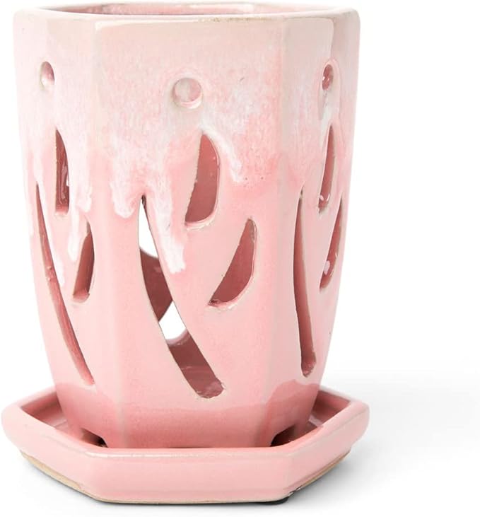 rePotme 4 x 6 inch Ceramic Orchid Pot (Cream Over Cotton Candy) - Hexagon Orchid Pot with Holes