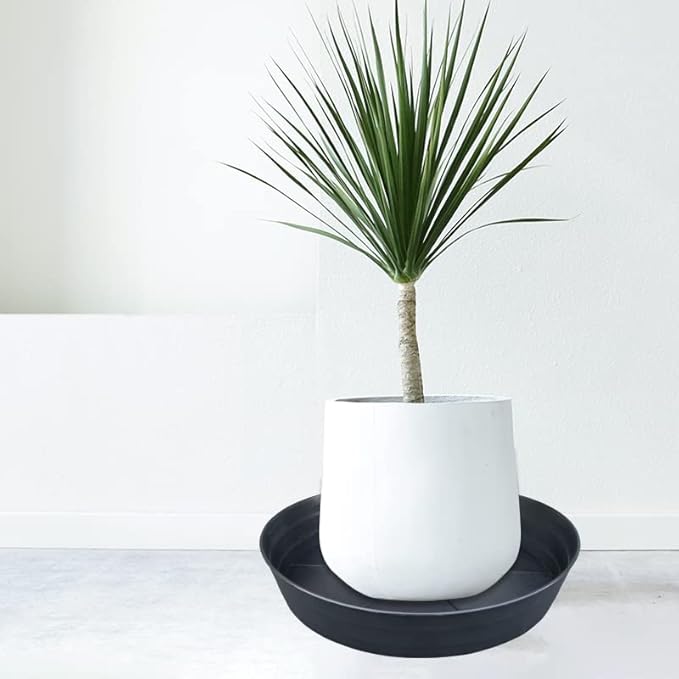 Plant Saucer 16 Inch 2 Pack 10 12 14 16 18 20 25, Plastic Plant Trays for Pots，Extra-Deep Plant Water Dray Tray, Bird Bath Bowl, Heavy Flower Plant Saucers Indoors and Outdoor No Holes