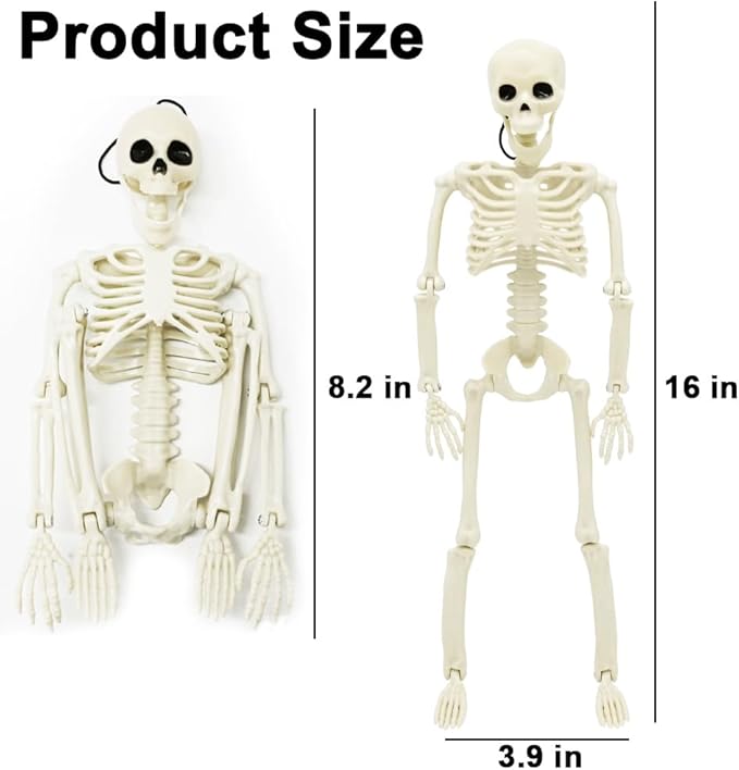 DINESIL 5 Packs Posable Halloween Skeleton, Full Body Halloween Skeleton with Movable Joints, 16" Hanging Spooky Skeletons for Halloween Haunted House Party Home Props Decorations