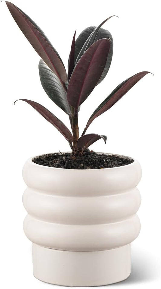 Bubble Ceramic Plant Pots with Drainage Holes and Saucers,6 inch Medium Flower Pots Modern Decor Planter for Indoor Plants(White)