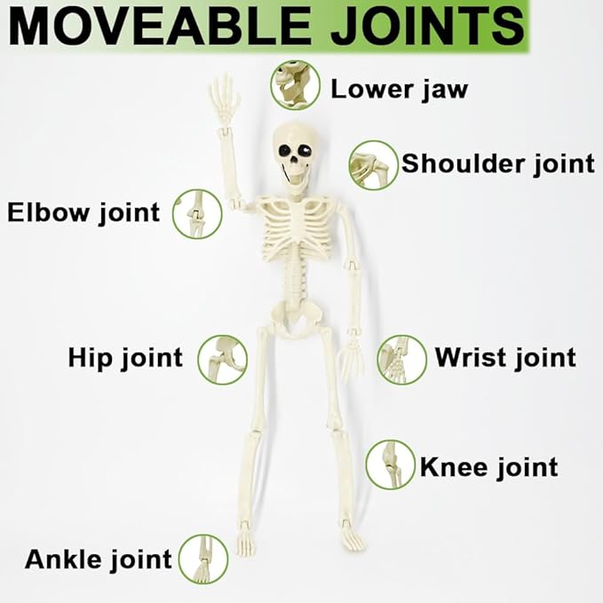 DINESIL 5 Packs Posable Halloween Skeleton, Full Body Halloween Skeleton with Movable Joints, 16" Hanging Spooky Skeletons for Halloween Haunted House Party Home Props Decorations