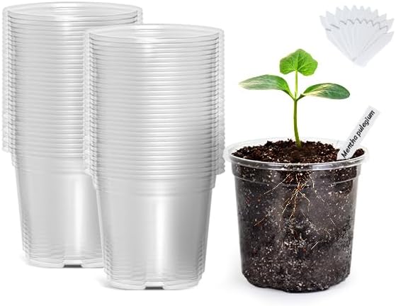Bonviee Clear Nursery Pots for Plants, 4 Inch Plastic Seedling Pots with Drainage Holes, Planters for Indoor Plants and Small Seed Starters, High Transparency Flower Pots with 20 Plant Labels, 60 Pack