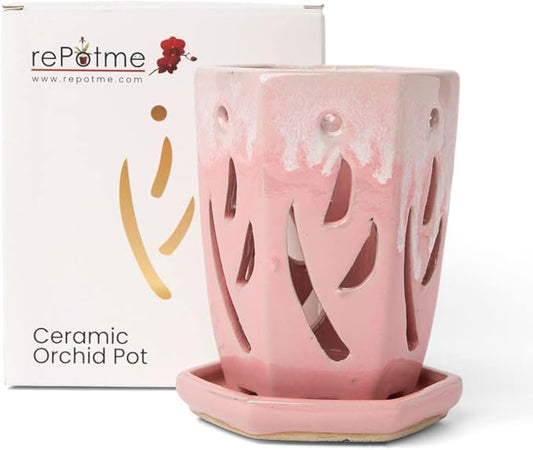 rePotme 4 x 6 inch Ceramic Orchid Pot (Cream Over Cotton Candy) - Hexagon Orchid Pot with Holes