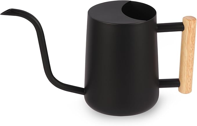 Plant Watering Can,35oz Metal Watering Can,Stainless Steel Watering Can Indoor Plants with Long Curved Spout,Small Watering Can for Indoor Plants,Bonsai Outdoor Garden Modern Decorative(Black)