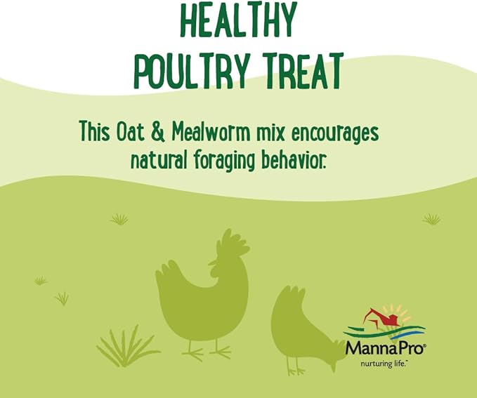 Manna Pro Farmhouse Favorites Oat & Mealworm Mix Poultry Treat – Natural Protein Source – Encouraging Poultry Treat – Mix of Oats, Peanuts, Raisins, Mealworms, Sunflower Kernels – 2lbs