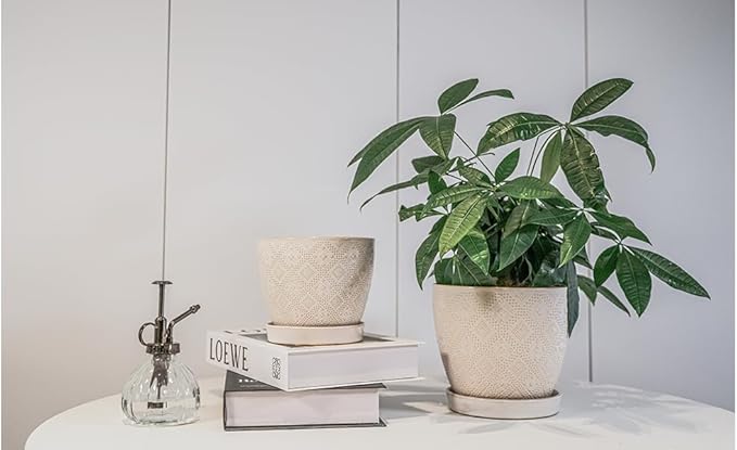 Docrin Ceramic Plant Pots Indoor: 6.6 + 5.5 Inch Planters with Drainage Holes and Saucer for Home/Office - Set of 2 /White