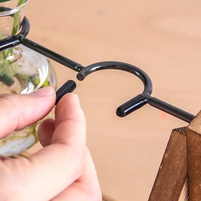 Ivolador I Plant Propagation Station, Bulb Plant Terrarium with Wooden Stand, Unique Gardening Gifts for Women, Hydroponic Indoor Planter, Home Office Garden Wedding Decor - 3 Bulb Glass Vases