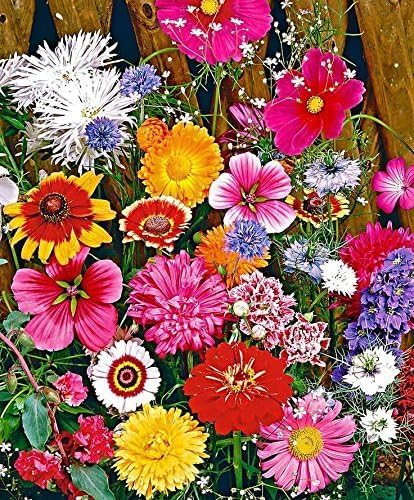 Dirt Goddess Super Seeds ~ Cut Flower Mix Seed (1/2 Lb)