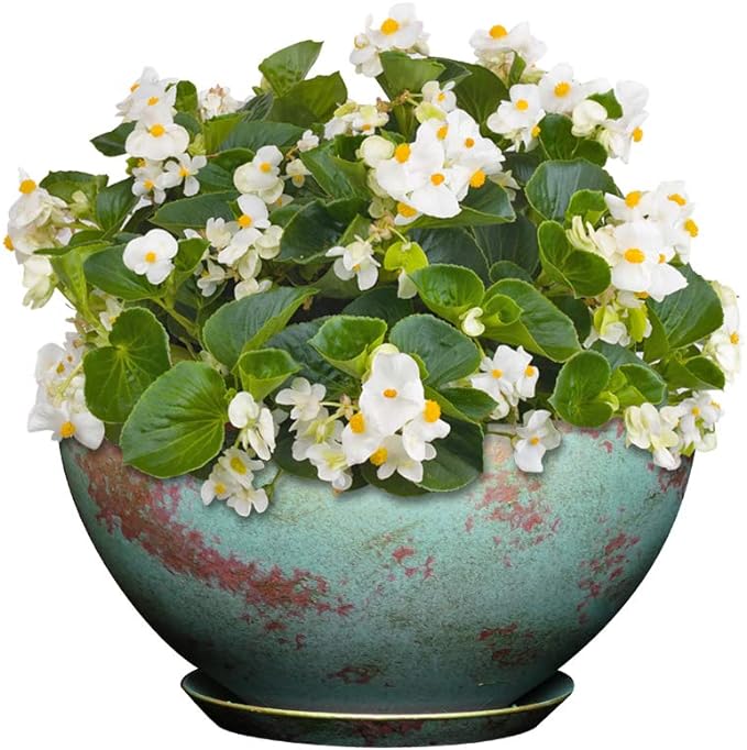 Classic Home and Garden Premiere Collection Planter, Rosie 10", Patina Copper