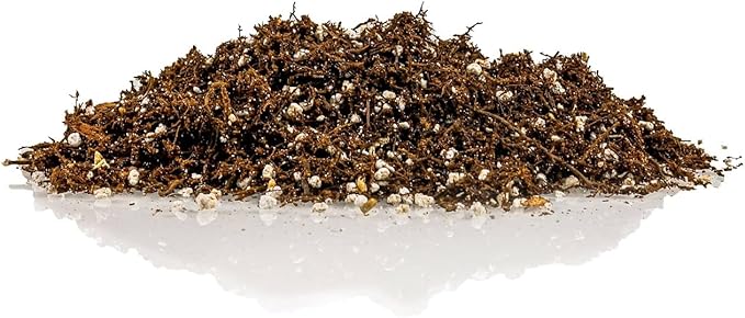 Fern + Perlite Soil Mix for Repotting and Planting Succulents and Cactuses - 2 Quart Bag
