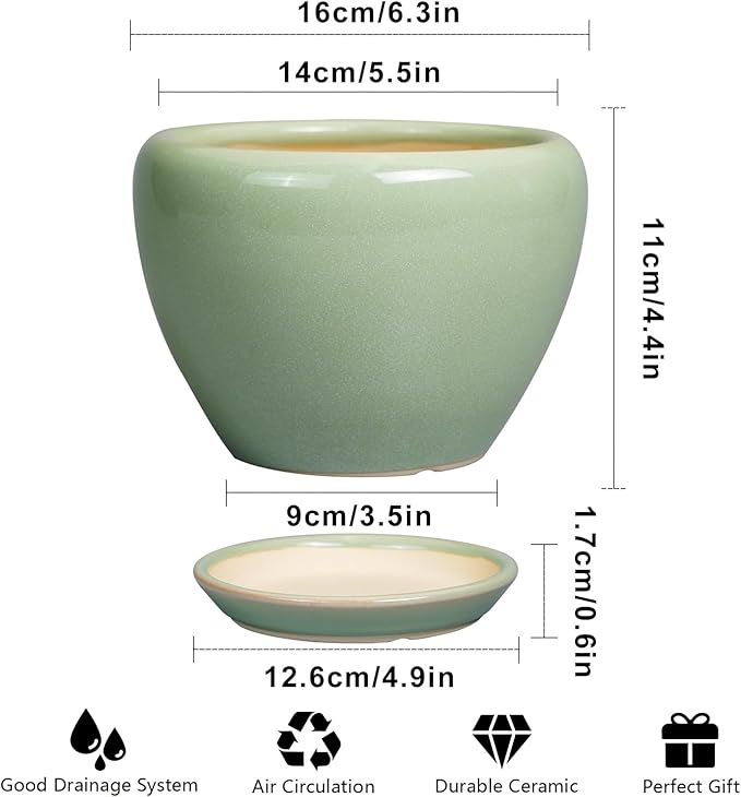 6 Inch Plant Pot - Ceramic Planter for Indoor Plants Round Planter Outdoor Plant Pot with Drainage Hole and Saucer Modern Flower Pot for Succulent Garden Green