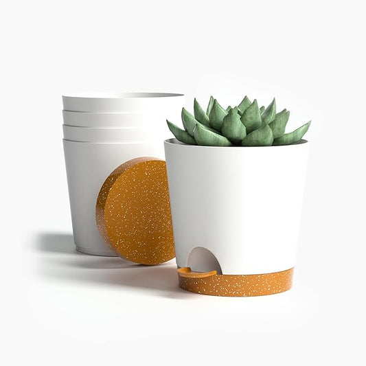 4 inch Small Plant Pots for Outdoor Indoor Plants, 5 Pack Planters with Drainage Holes and Tray, Small Self Watering Pots for Succulent,Cactus, Aloe and Other Plants (White)