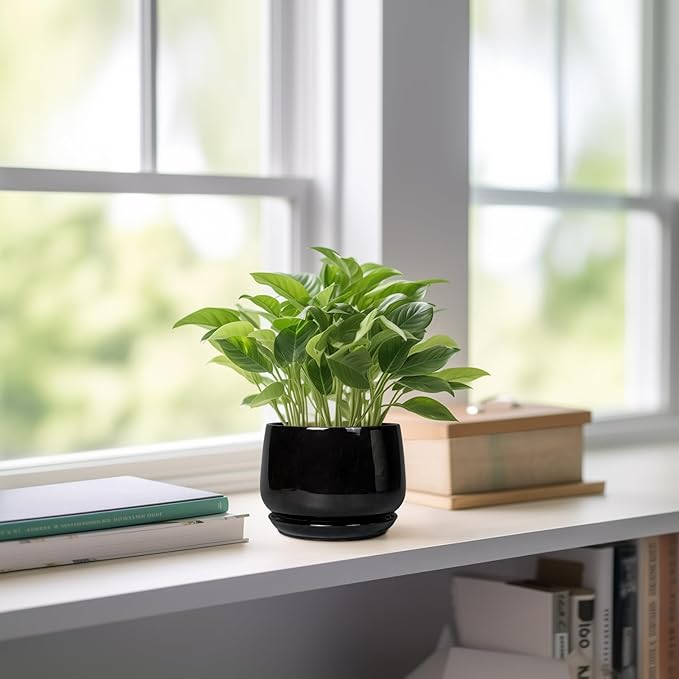 G EPGardening Small Ceramic Planter - 4 Inch Succulent Pots with Drainage Hole & Sacuer, Flower Pots for Indoor Outdoor Plants, Modern Decorative Round Planter, Room Decor, House Warming Gifts, Black