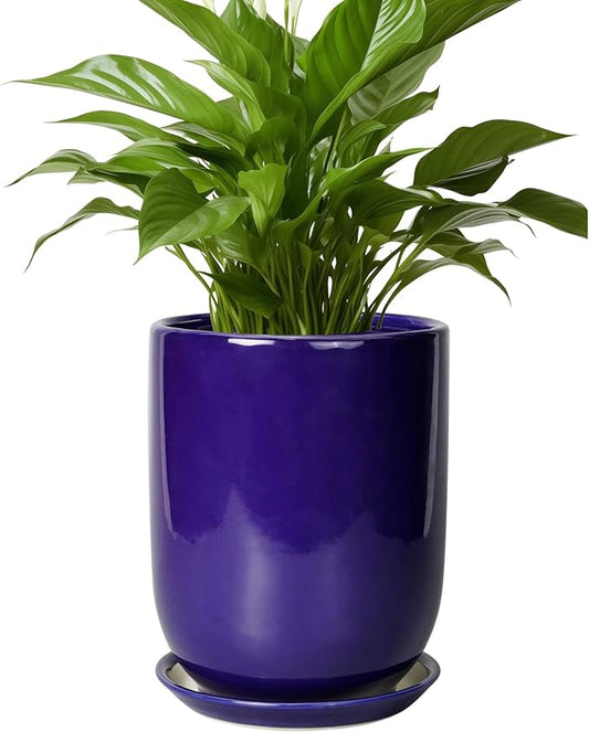 Ceramic Plant Pot - 8 Inch Planter for Indoor Plants Outdoor Flower Pot with Drainage Hole and Saucer Home Patio Office Decor Blue