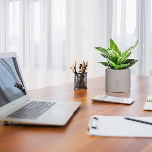 Ekirlin 3.5 in Plant Pot Indoor - Grey Cement Planters with Drain Hole, Removable Rubber Stopper, Non-Slip Soft Pad - Concrete Planter for Most Indoor Plants and Flowers