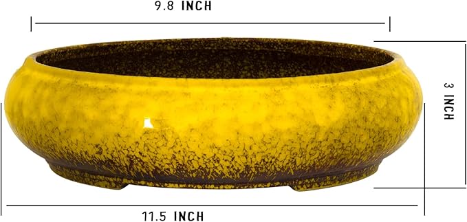 Succulent Pots - 11.5 Inch Ceramic Bonsai Pots with Drainage, Large Shallow Succulent Planters for Indoor Outdoor Plants, Round Glazed Cactus Flower Plant Container Bowl Home Desk Decor(Yellow)