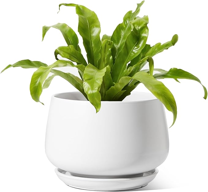 LE TAUCI Ceramic Planters, 10 Inch Pots for Plants, Indoor Plant Pots with Drainage Holes and Saucers, Modern Planters Fit Mid Century Plant Stand, Flower Pots for Indoor Plants, White