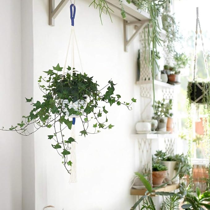 JES&MEDIS 5 Pack Color Handmade Cotton Rope Macrame Plant Hanger Indoor Outdoor Flower Pots Or Basket Hanging Planter Holder for Decorations with 5 PCS Hooks