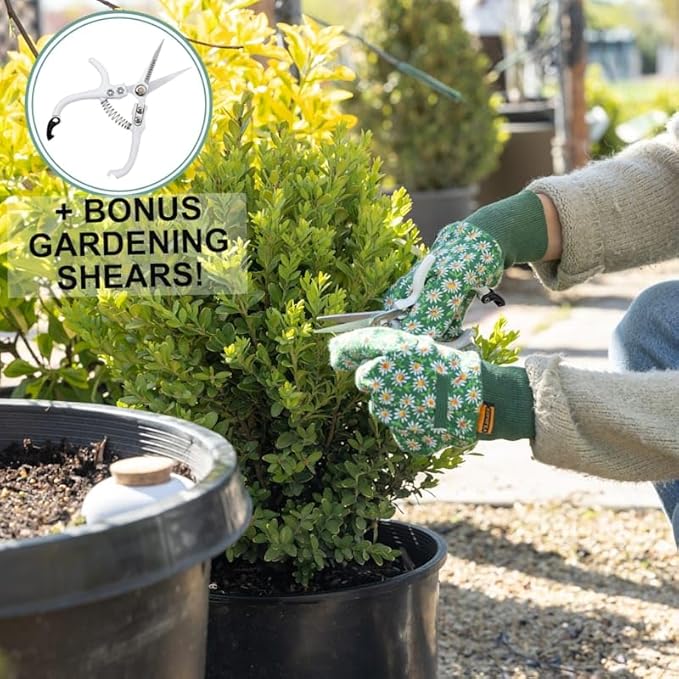 Plant Self Watering Globes - Terracotta Watering Spikes - Slow Release Olla Pots - Holds 16 oz - Drip Irrigiation Olla System