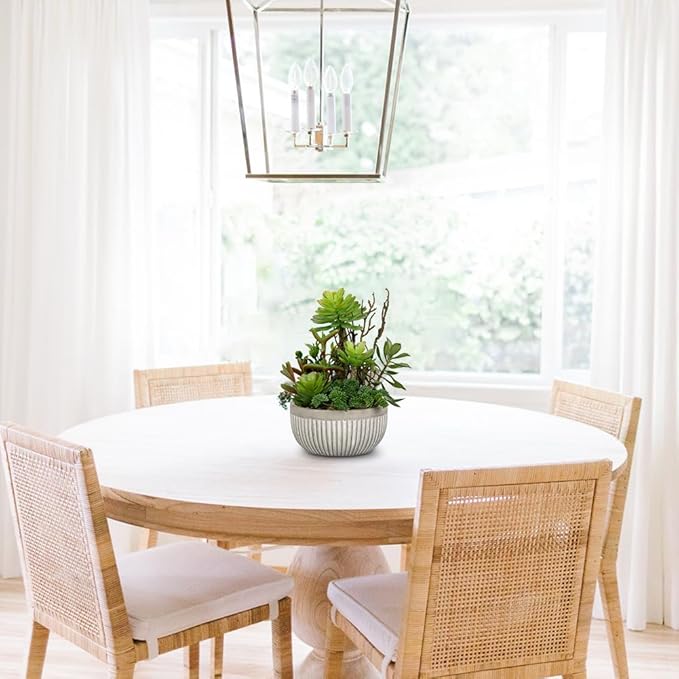 DILATATA Small Faux Plant Assorted Fake Succulents Plants Faux Succulents Arrangement Cement Potted Desk Plants Small Fake Plants for Home Table Office Bathroom Shelf Living Room Decor