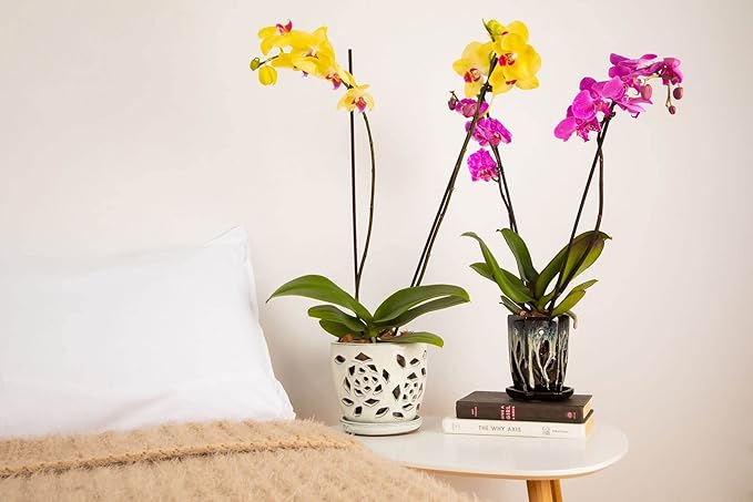 rePotme Orchid Pot - 5 inch Floral Cutout Ceramic Orchid Pot with Holes (Midnight Blue) - Includes Matching 5 inch Slotted Pot Liner