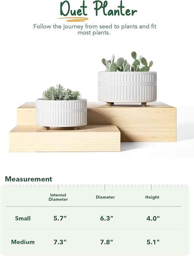 LE TAUCI Succulent Pots, 6.5+8 Inch Ceramic Indoor Plant Pot with Drainage Hole, Modern Round Decorative Flower Pot, Set of 2, Matte White