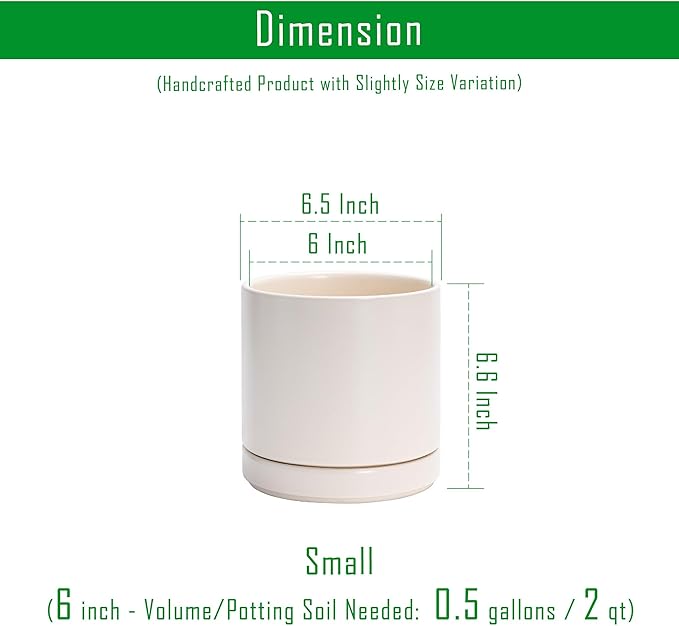 D'vine Dev 6 Inch Ceramic Planter Pot with Drainage Hole and Saucer, Indoor Cylinder Round Planter Pot, Oatmeal, 94-O-C-8