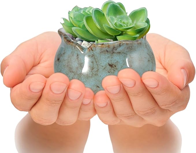 Laerjin Succulent Pots, 4 Inch Ceramic Plant Pots and Drainage Hole with Bamboo Tray, Colorful Flower Planter Pot, Pack of 6, Plants Not Included