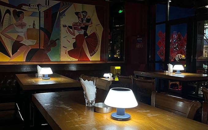 Solar Table Lamp Rechargeable Cordless - 4 Modes USB/Solar Charging Indoor Outdoor, IP54 Waterproof, 4000K Neutral White Light for Living Room/Garden/Study/Patio