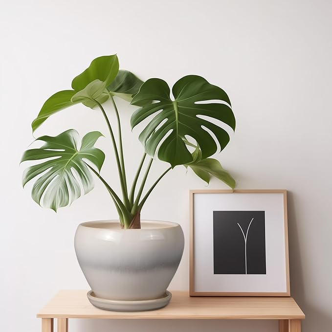 Planter Pot 6 Inch - Ceramic Plant Pot with Drainage Hole and Saucer, Round Glaze Succulent Pot for Plants, White