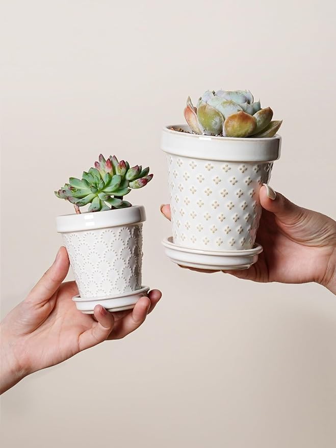 LE TAUCI Ceramic Succulent Pots, 3 Inch Mini Flower Pots for Indoor Plant Cactus, Embossed Small Plant Pot with Drainage Hole & Saucer, Home Decor - Set of 4, Arctic White