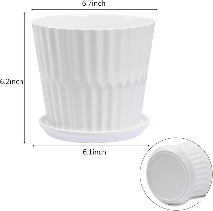 Plant Pots - 6.7 Inch Cylinder Ceramic Planters with Connected Saucer, Pots for Succuelnt and Little Snake Plants, Set of 2, White