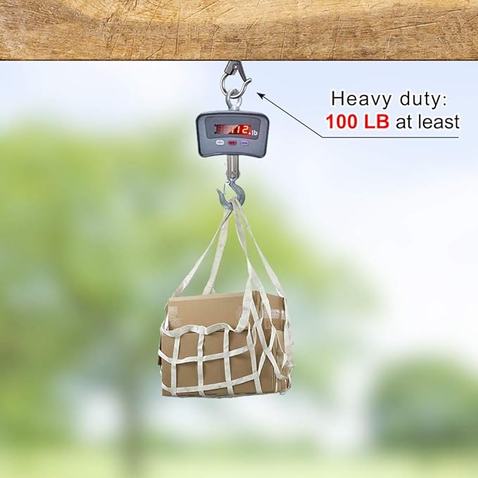 BeneLabel Wall Mount Ceiling Hooks with Safety Buckle - Plant Hanger Hooks - Outdoor Hanging Brackets for Hanging Plants, Lights, Wind Chimes & More - Rust Proof and Wind Proof