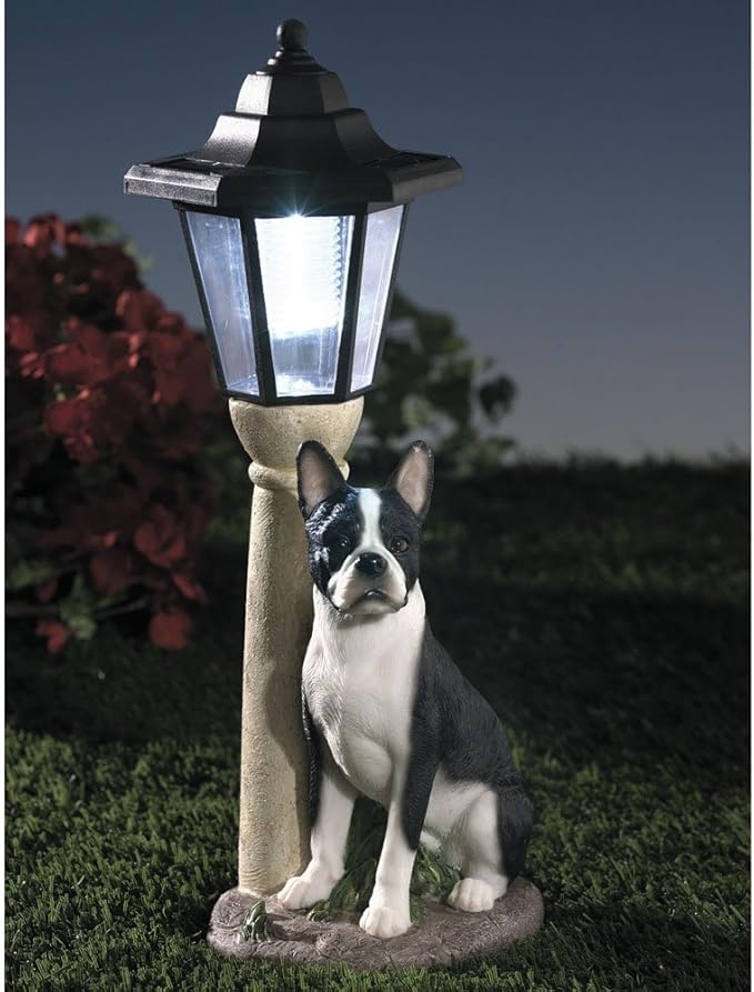 Bits and Pieces - Solar Dog Lantern-Solar Powered Garden Lantern - Resin Dog Sculpture with LED Light (Boston Terrier)