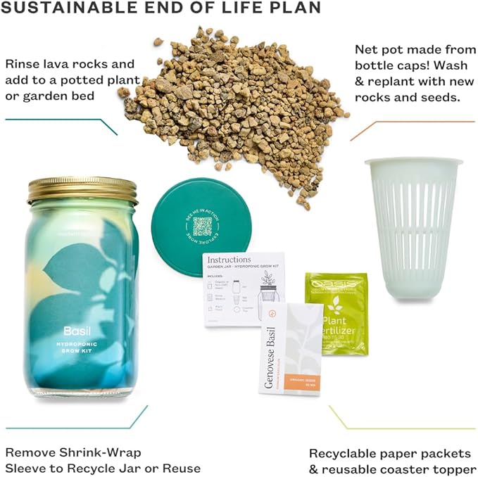 Modern Sprout New & Improved Mason Jar Grow Set 6pk, Indoor Herb Garden, Seed Starter Set, Organic Seeds, Hydroponic Growing (Basil + Mint + Parsley + Cilantro + Rosemary+ Lavender)