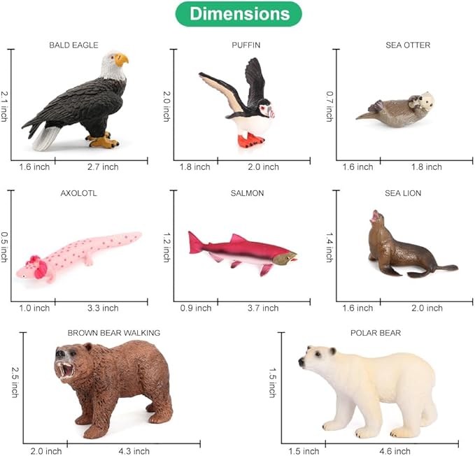 Volnau Safari Animal Figurines Toys 12PCS North America Figures Zoo Pack for Toddlers Kids Christmas Decoration Gift Preschool Educational Bald Eagle Bear Salmon Salamander Jungle Forest Cake Topper